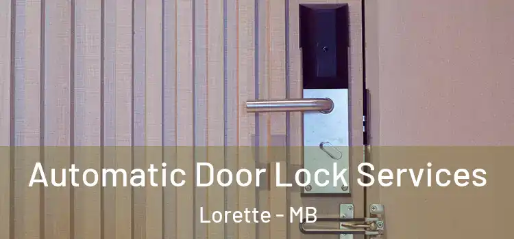 Automatic Door Lock Services Lorette - MB