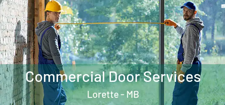  Commercial Door Services Lorette - MB