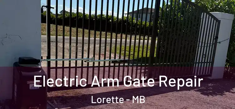  Electric Arm Gate Repair Lorette - MB