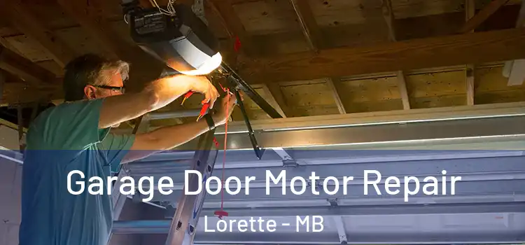  Garage Door Motor Repair Lorette - MB