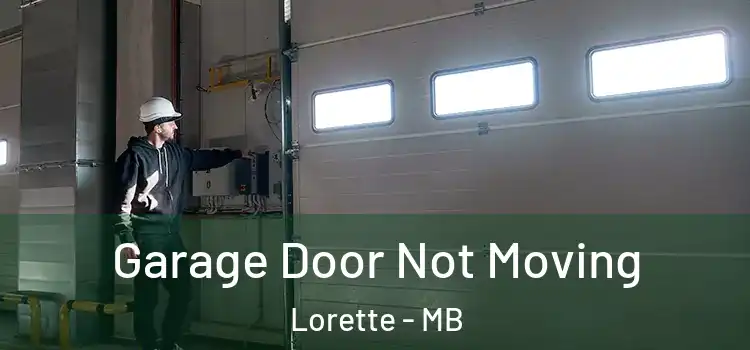  Garage Door Not Moving Lorette - MB