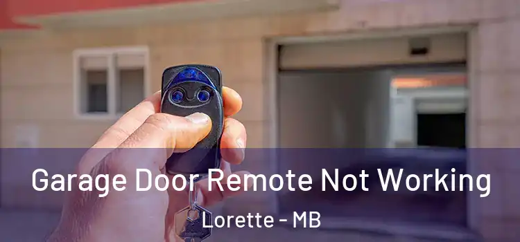  Garage Door Remote Not Working Lorette - MB