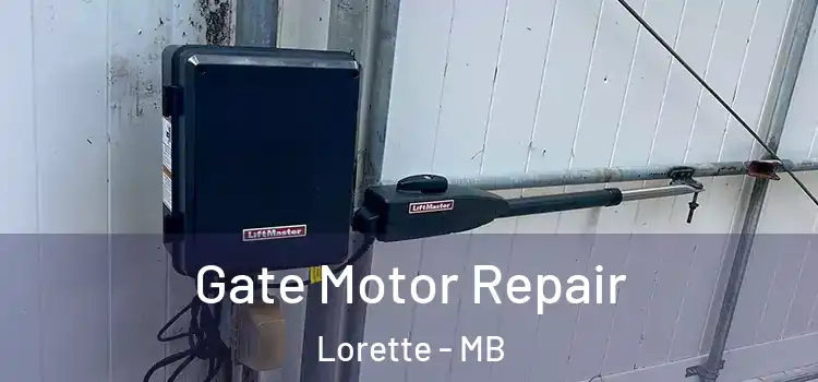 Gate Motor Repair Lorette - MB